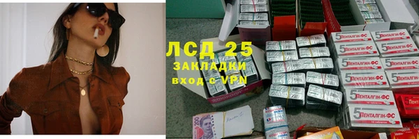 гидра Белокуриха