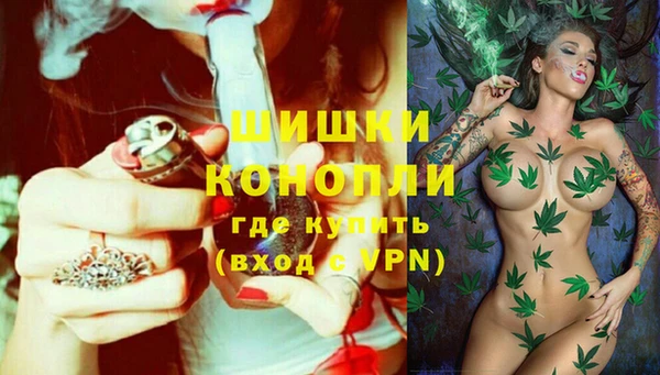 гидра Белокуриха