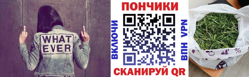 Бошки марихуана сатива  Видное 